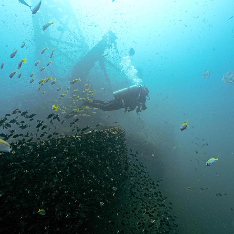 budget diving special offers