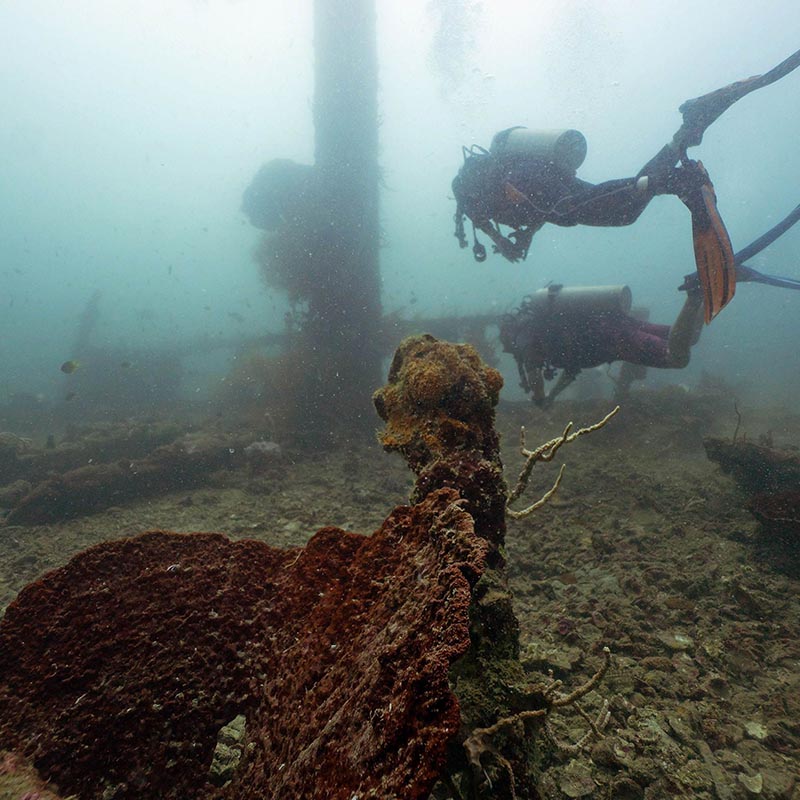 Busunaga-Coron-tauchen Diving in Coron wrecks