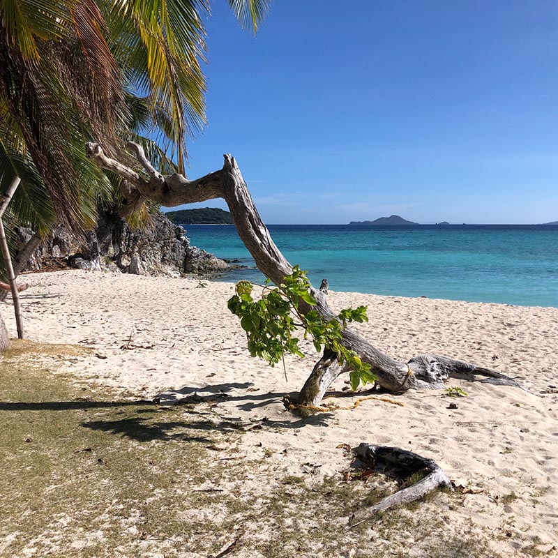 coron-busuanga-island_0065_IMG_0830(1)