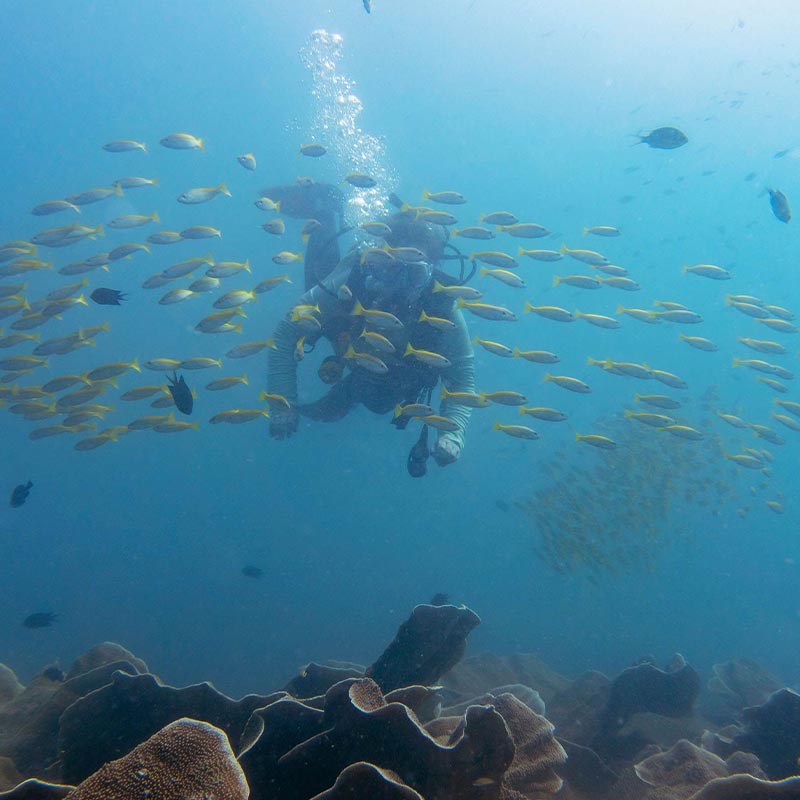 coron-busuanga-island_0097_DSC05071 diving near Culion island