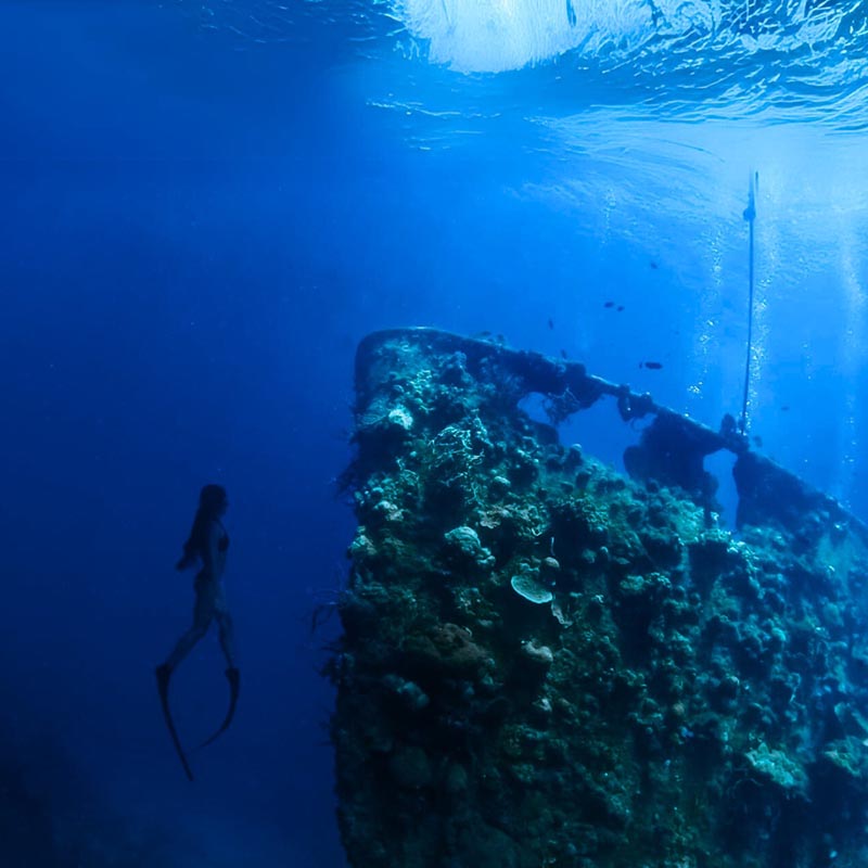 coron-busuanga-island_0174_449839450_122103241064389740_8426568916250411540_n freediving wreck