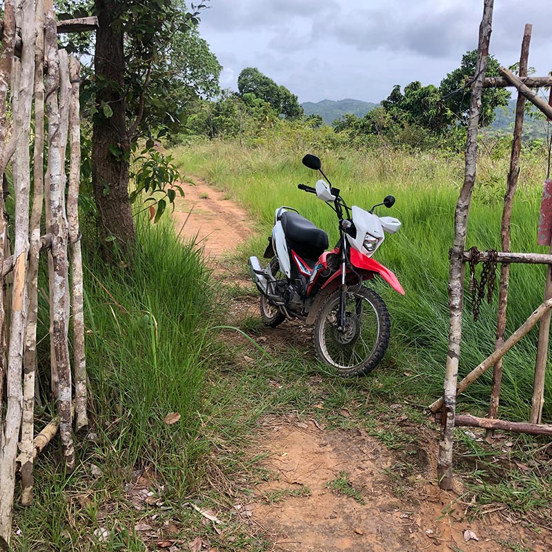 motorbike-field
