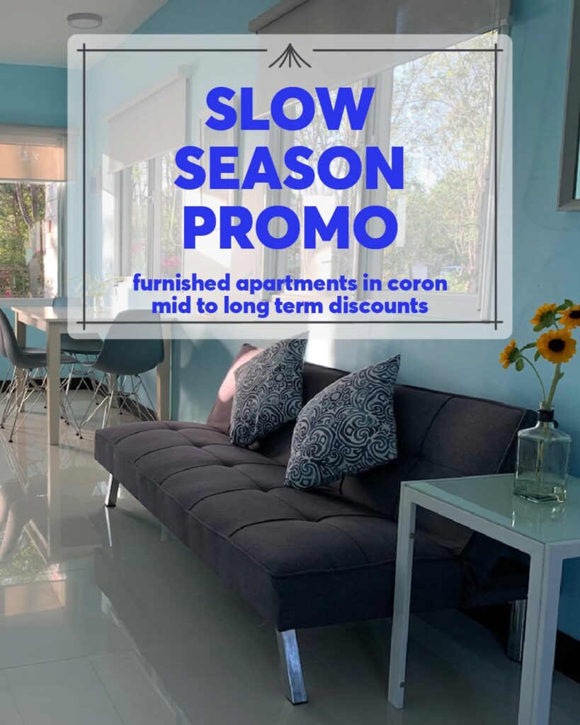 Rainy Season Promo ! furnished apartment