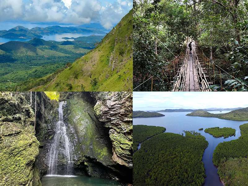 Coron-Busuanga-Forest-River-tracking Coron Busuanga Jungle Tracking