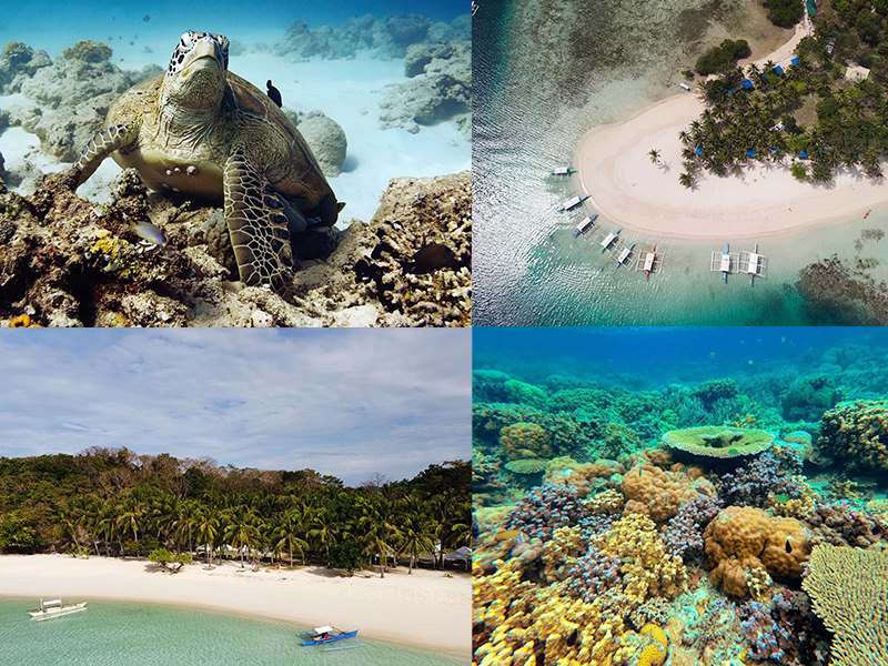 Coron-Busuanga-Pass-Island Coron Busuanga White sand Islands